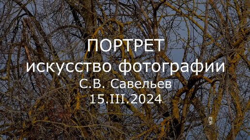 С.В. Савельев. Портрет. Искусство фотографии - [20240322]