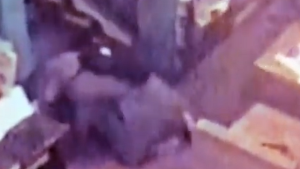 Фото: скриншот видео