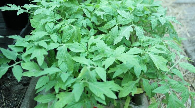 Фото: Анастасия Писаревская