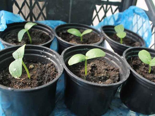 Фото: Анастасия Писаревская