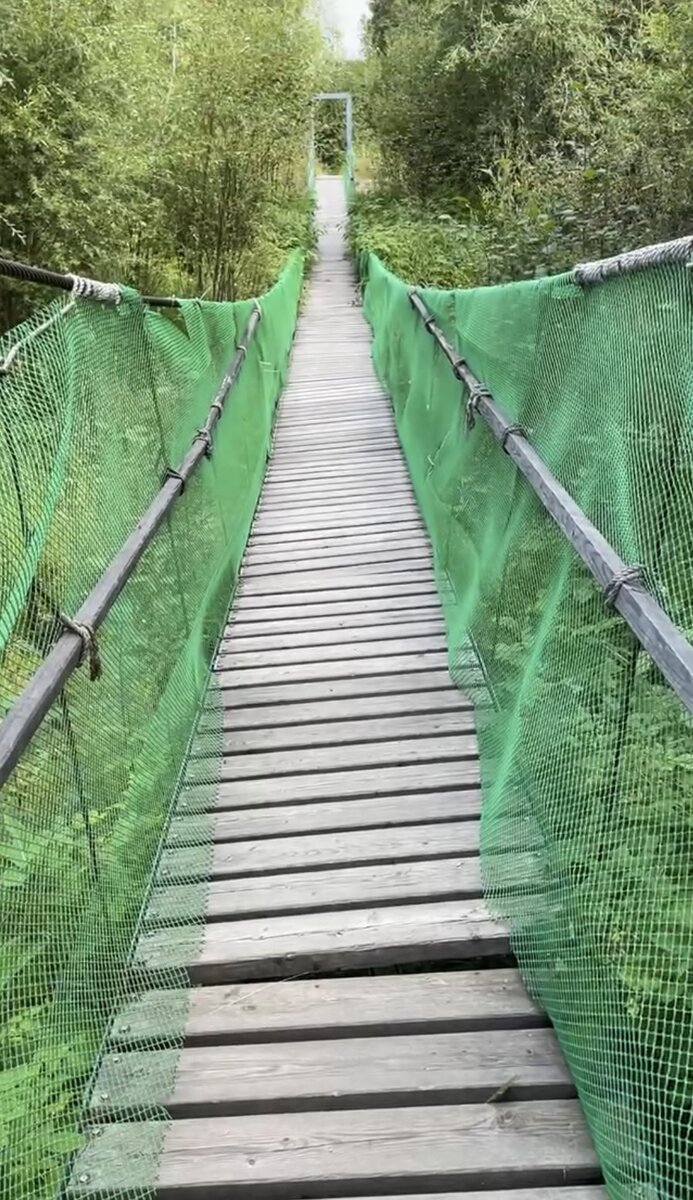 Мостик по дороге на кемпинг 