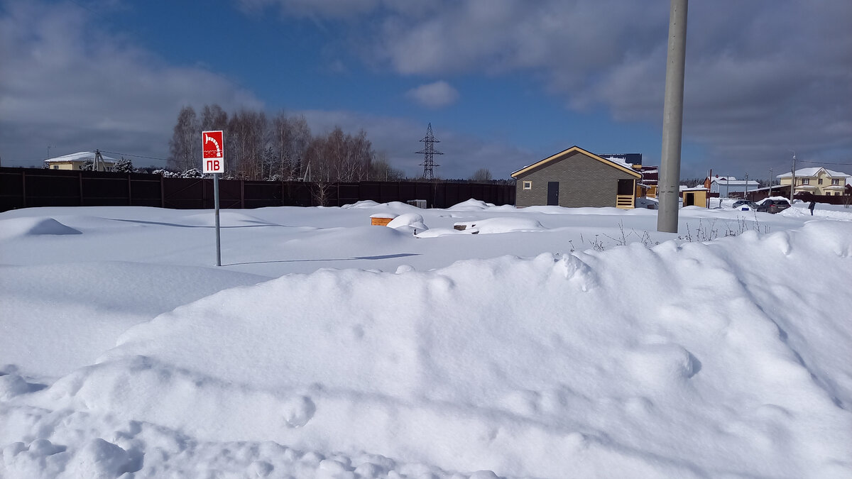 Таким я увидела впервые участок