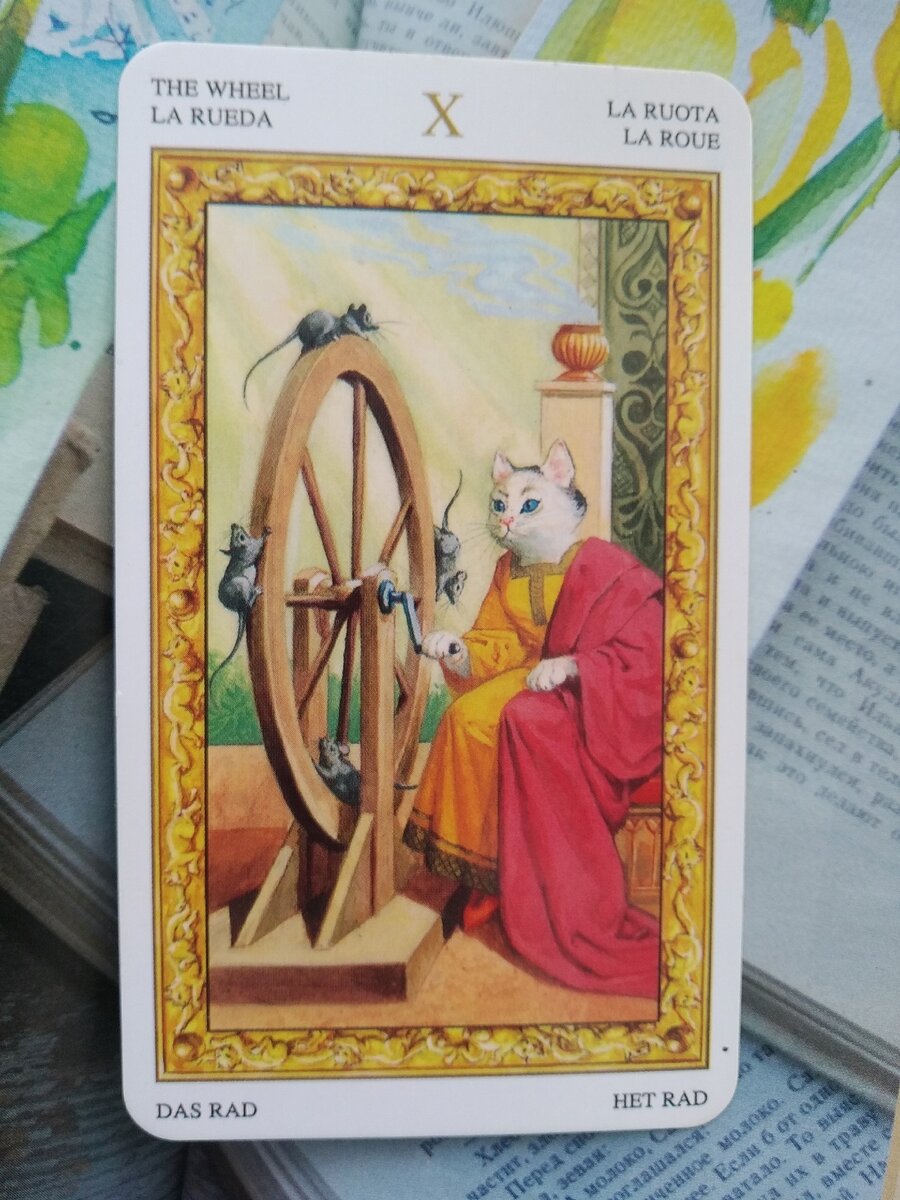 Колесо Фортуны - Таро Белых кошек