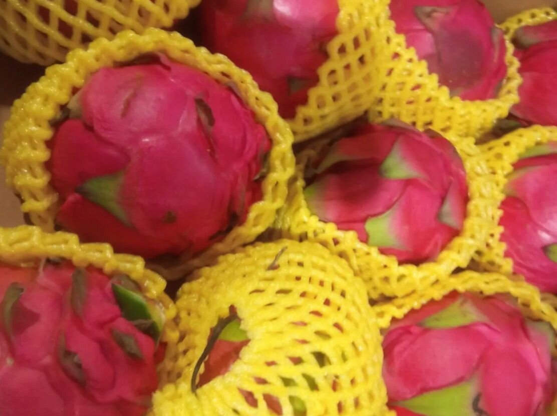     Питахайя Источник: gornovosti.ru Автор фото: Пресс-служба Россельхознадзора Красноярского края