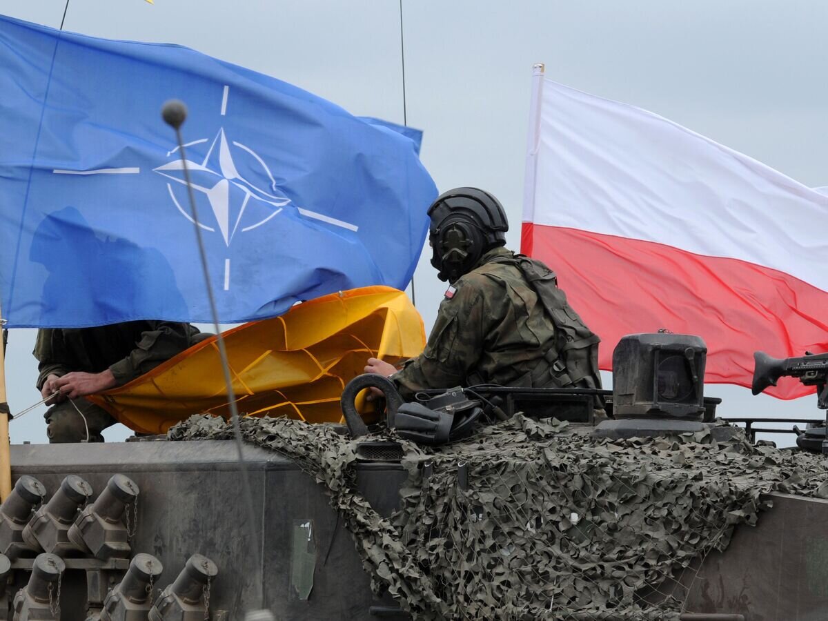    Польские военные во время совместных учений войск НАТО в Польше© AP Photo / Alik Keplicz