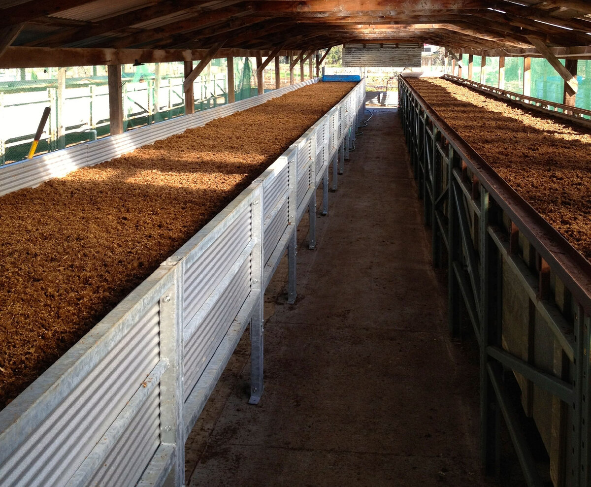 Источник изображения: Яндекс.Картинки