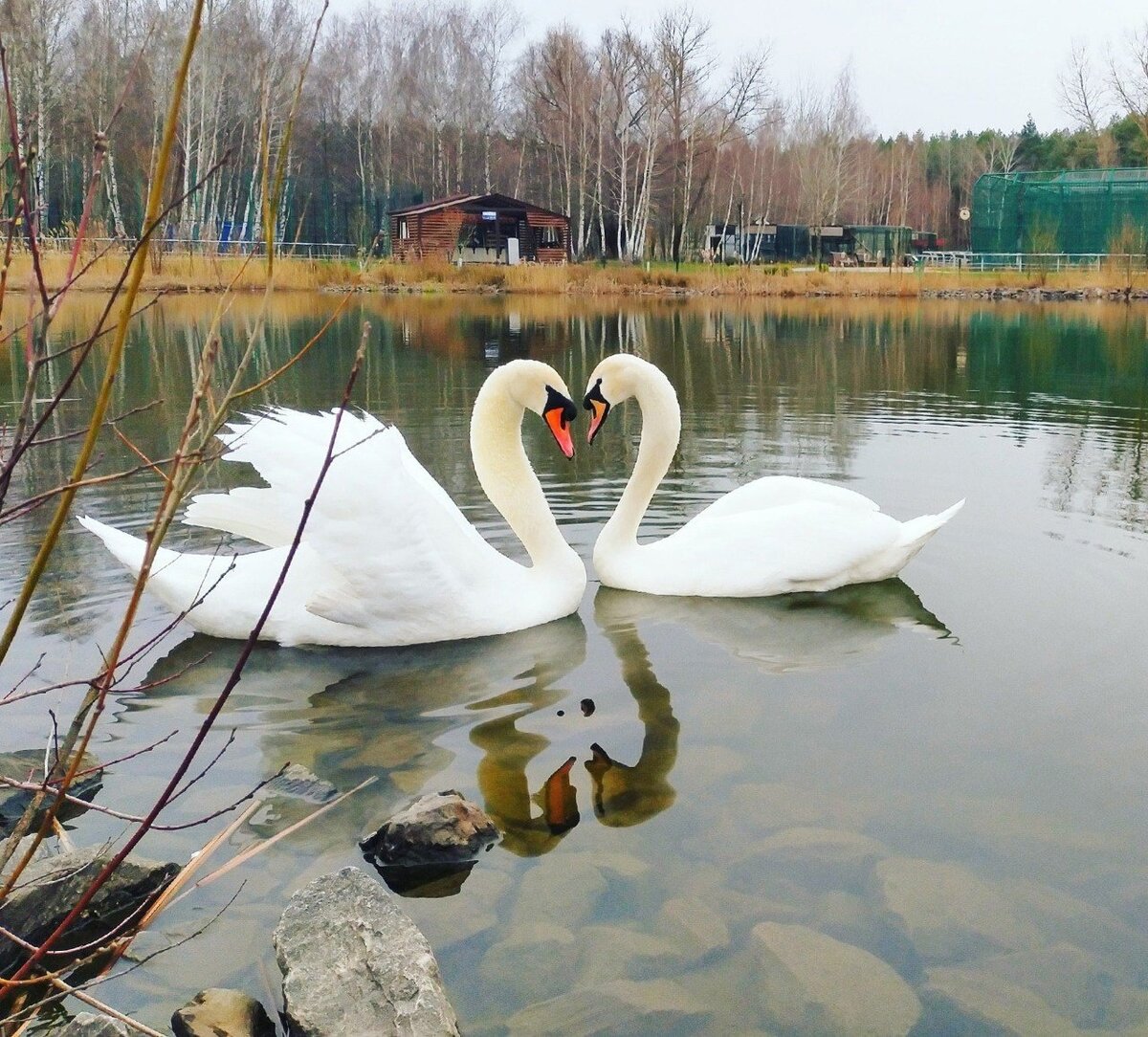 Фото: Белгородский зоопарк