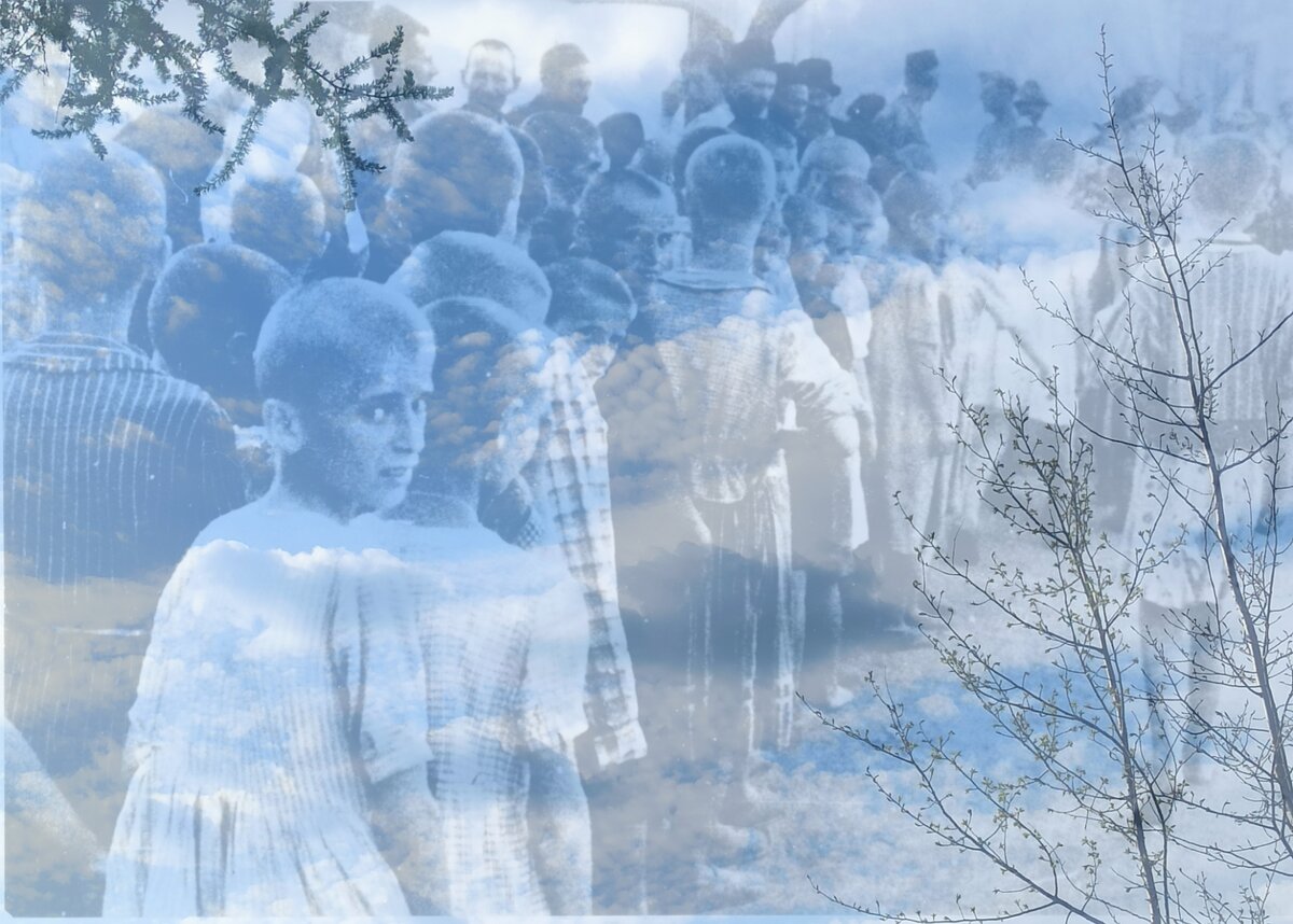 Дневник Евы Хейман. Агнес Жолт.