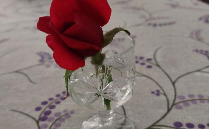    фото из архива Курских известий