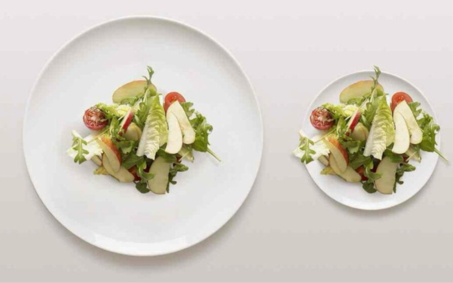 Размер тарелки и порции (иллюзия Дёльбёфа) 