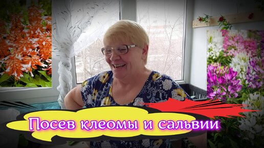 Весенние посевы цветов клеомы и сальвии.