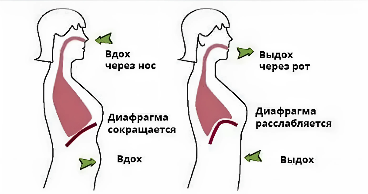 Глубже как правильно. Дыхательные упражнения диафрагмальное дыхание. Схема речевого дыхания вдох пауза. Дыхание диафрагмой схема. Дыхательные практики для диафрагмы.