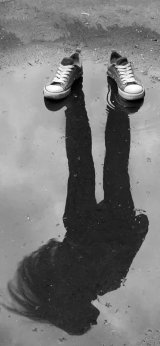 🩶🩶🩶🩶🩶🩶🩶🩶🩶🩶🩶🩶🩶🩶🩶🩶🩶🩶