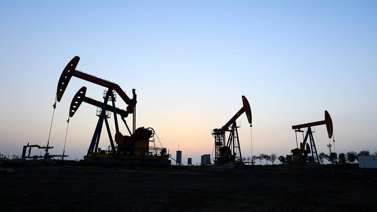    Фото: Shutterstock