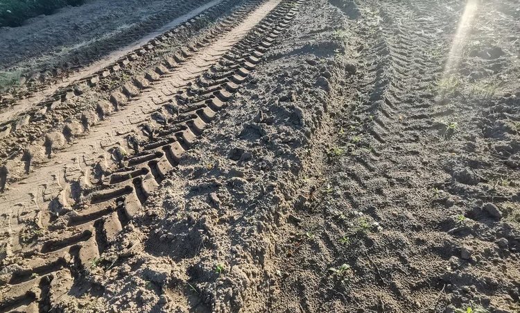    Аграрии Запорожской области начали весеннюю посевную 2024