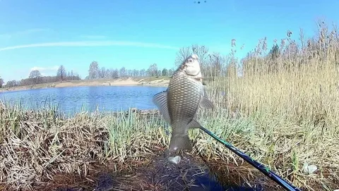 давление в озерах. давление под водой. глубина. давление в озерах. как поределять давление.