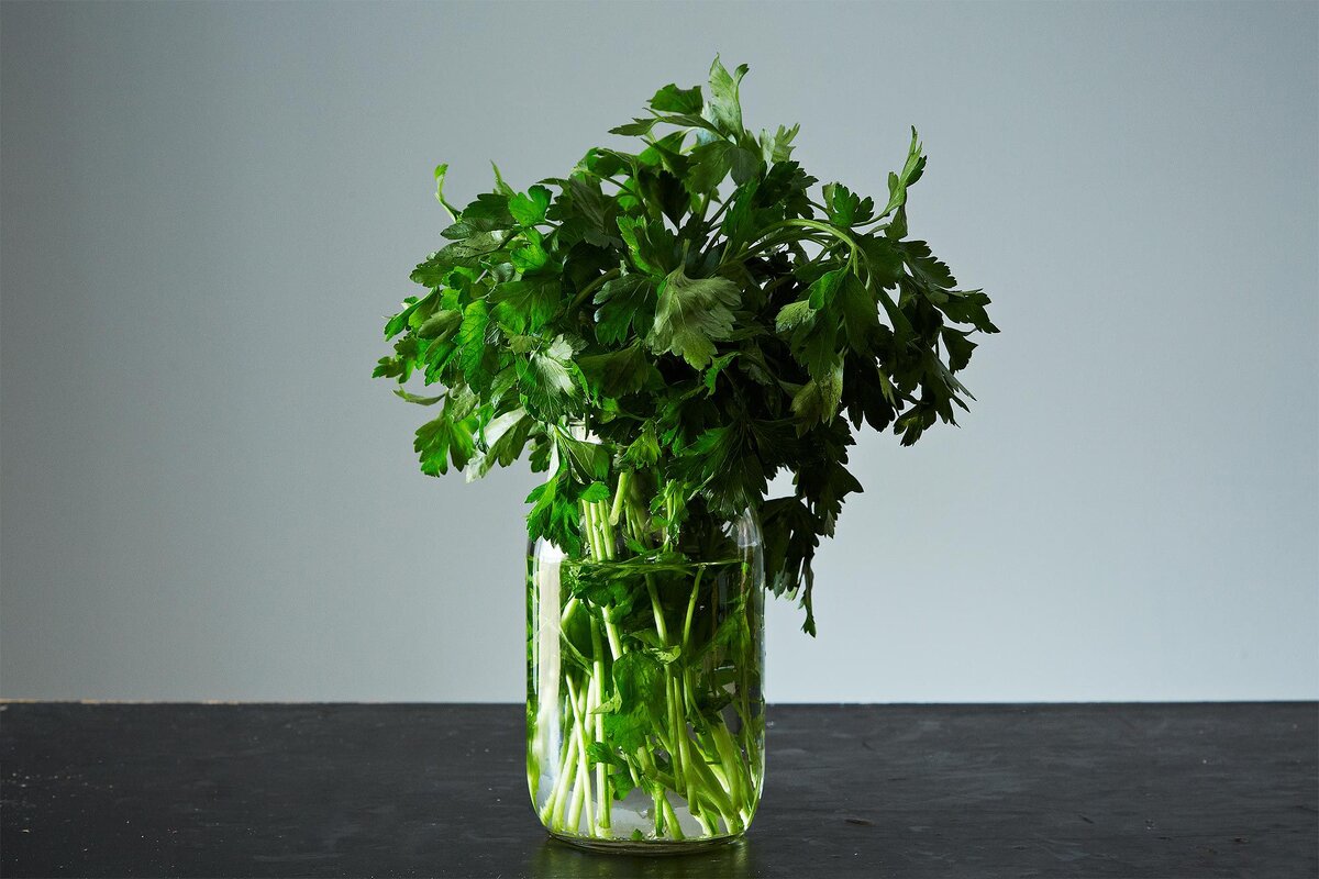 ¿Buscas en tu refrigerador los alimentos frescos que compraste hace una semana y descubres que están podridos o marchitos? Afortunadamente, existen formas sencillas de prevenir esto.-5