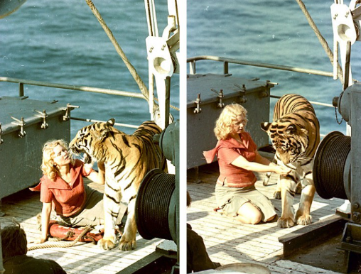 Ну что ты как маленький, попугай дяденек, для фильма же надо