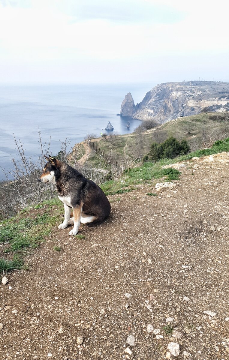 Ценитель прекрасного 😁