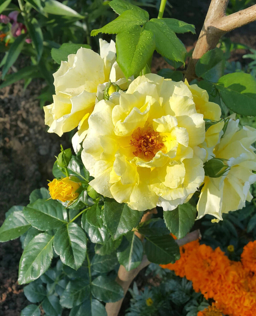 фото Людмилы