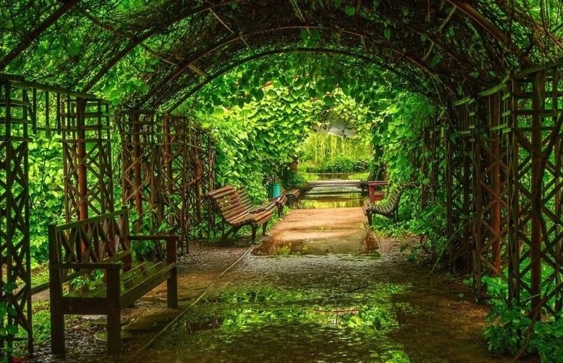 Источник: https://kudamoscow.ru/place/botanicheskij-sad-mgu-aptekarskij-ogorod