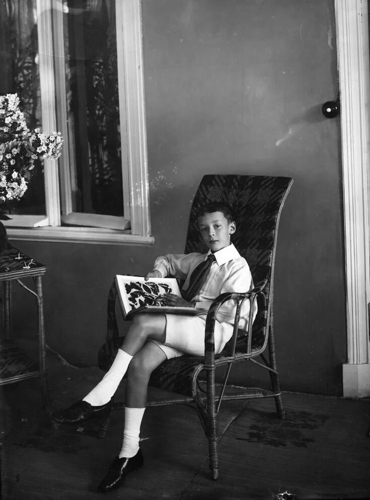 Володя Набоков с альбомом бабочек. 1910