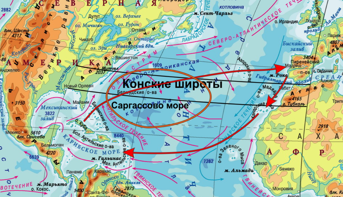 Пролив дрейка какая широта. Саргассово море на карте. Саргассово море границы на карте. Где находится Саргассово море на карте. Саргассово море расположение на карте.