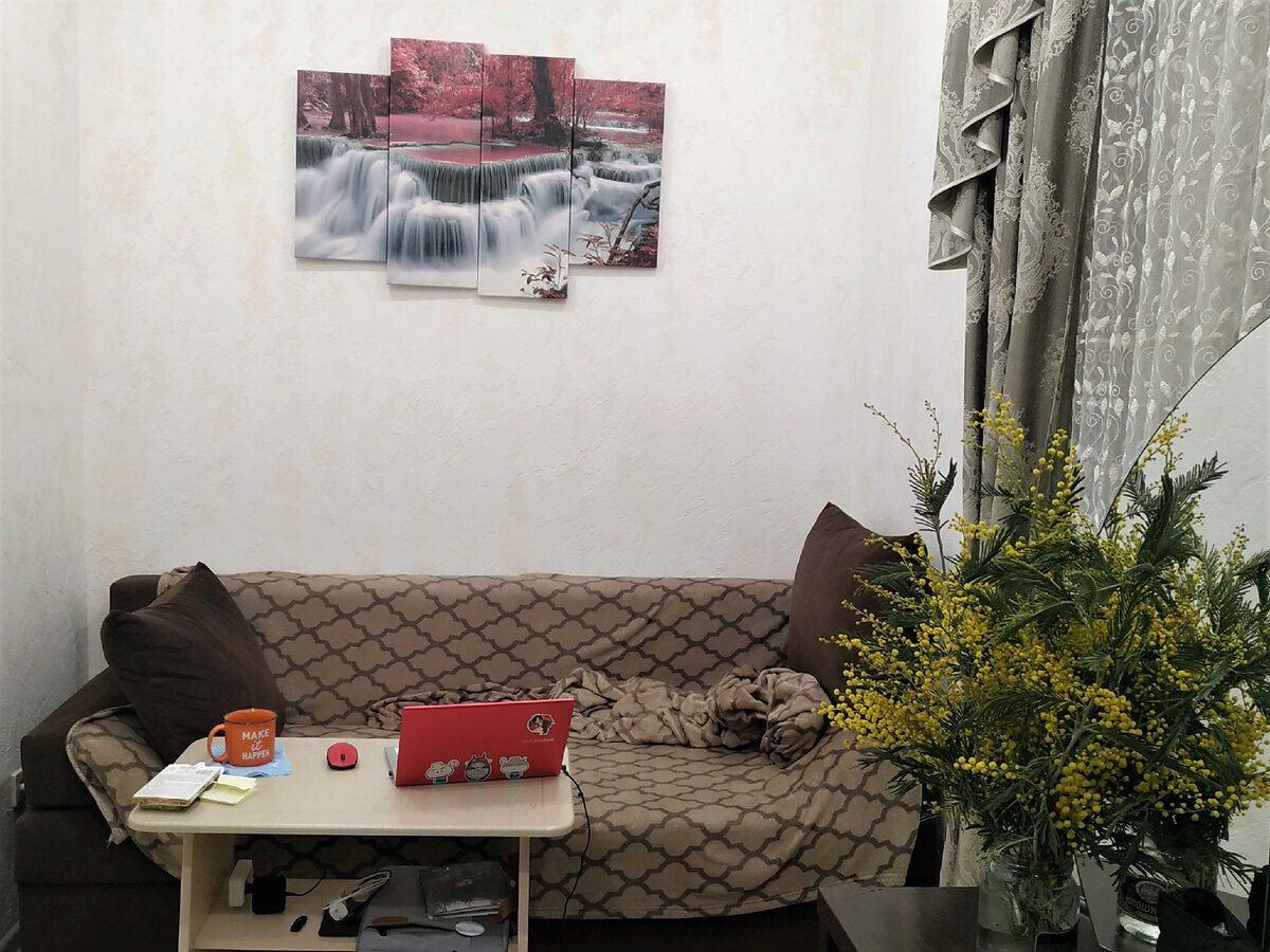 Половина комнаты шириной с диван