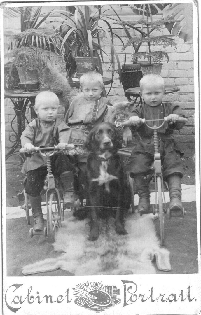 Без названия 1900 - 1915
Неизвестный автор