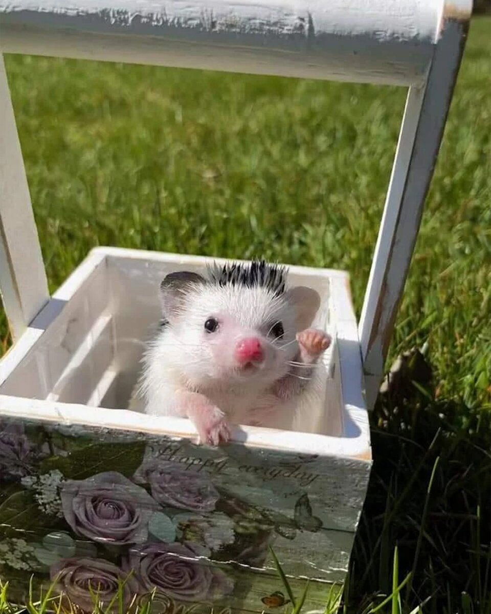    «Ты сможешь! У тебя все получится! Я в тебя верю! ✊»