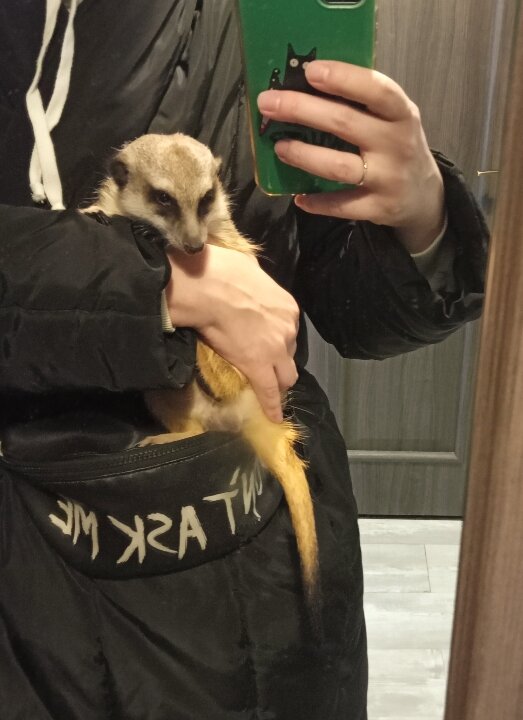 Фото перед отбытием матери за дверь