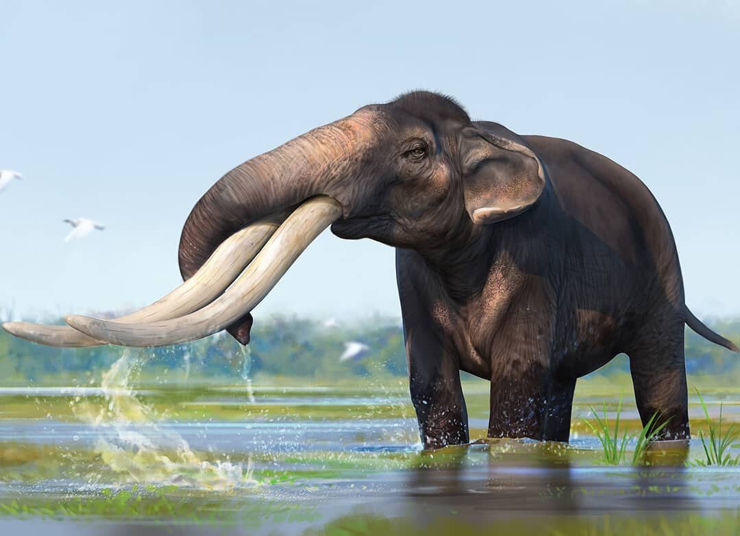 Приходится приспосабливаться…