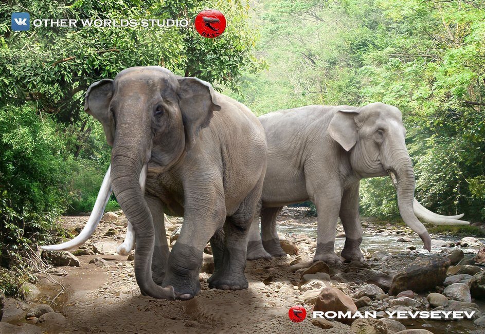 Нафиг траву, только сочные листья!