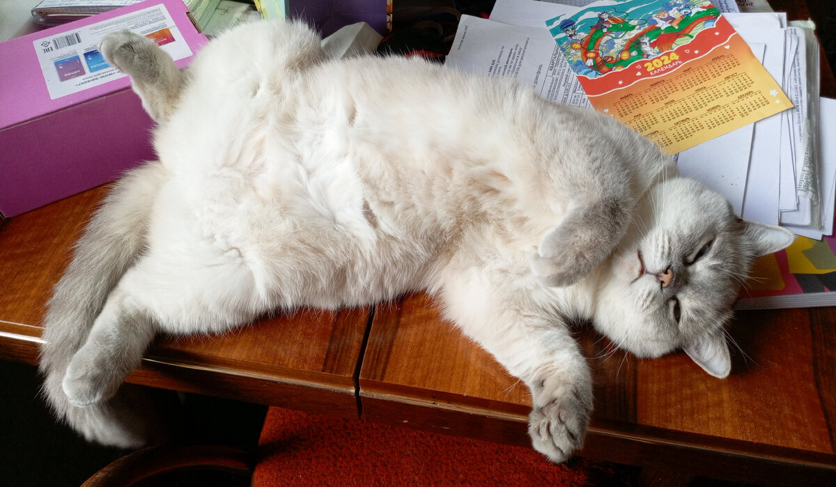 Когда одолела жуткая лень...