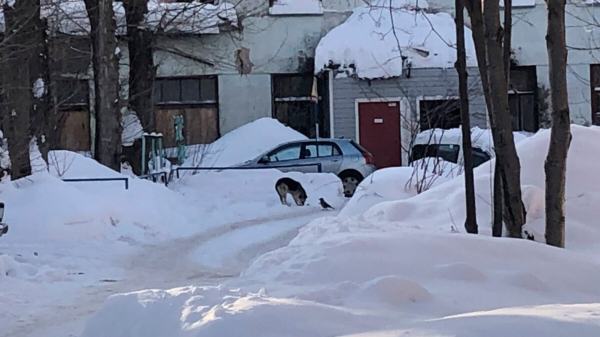 правописание частиц не и ни с разными частями речи. слитное и раздельное написание не и ни с разными частями речи. слитное написание частицы не с разными частями речи. написание частиц не и ни. не и ни с глаголами.