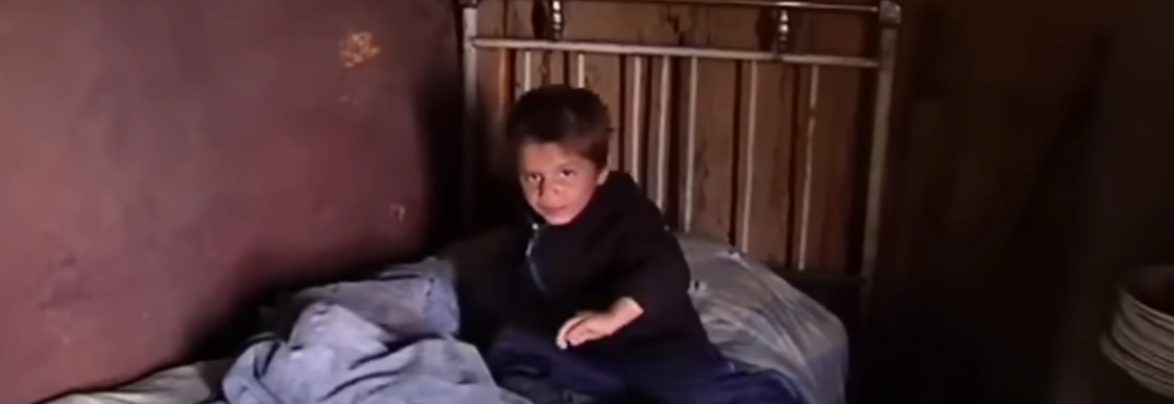 саша и его сарай