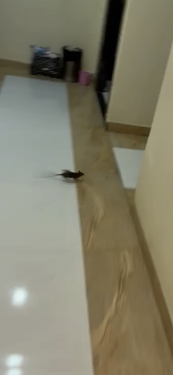 Фото из личного архива 