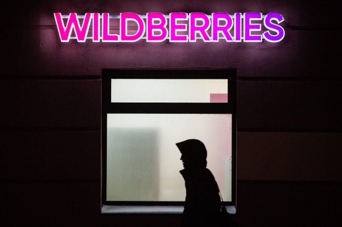    Пушилин: Ozon и Wildberries в ближайшее время начнут работать в ДНР и ЛНР