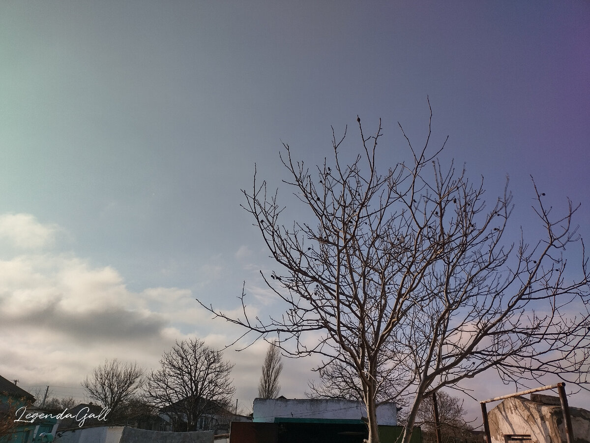 Утреннее небушко