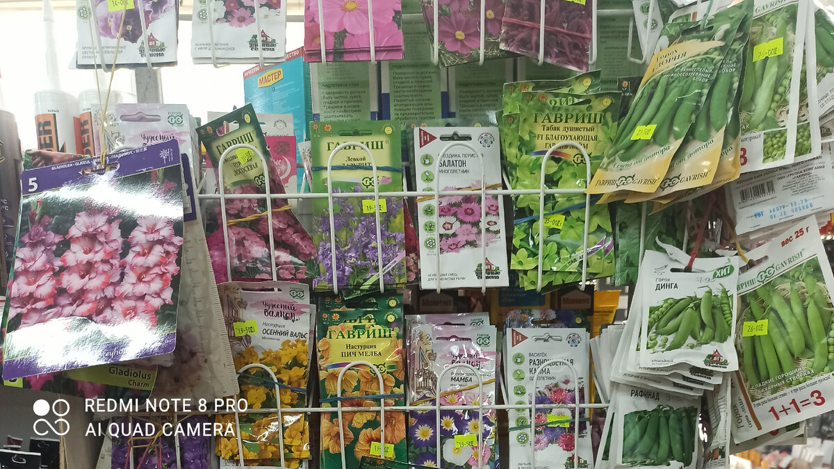 Такую картину изголодавшему дачнику никак мимо не пройти