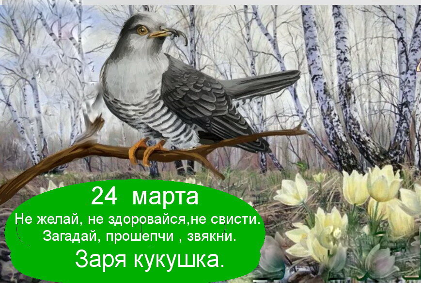 Источник : Яндекс картинки.