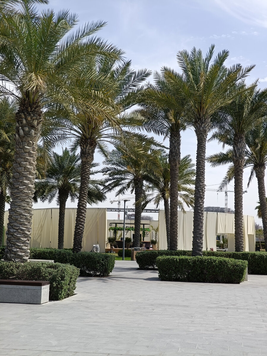 Где-то перед Лувром