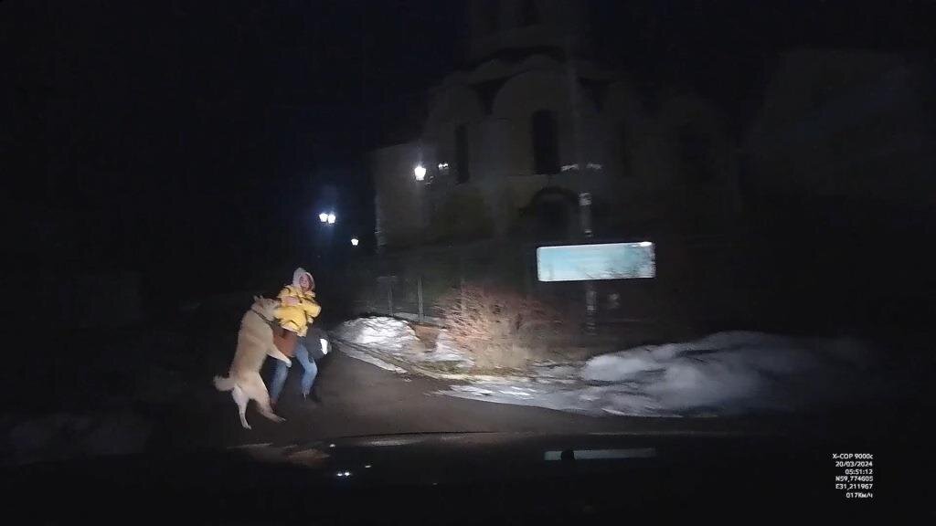 фото: Скриншот видео Gorod47.ru-Кировский р-н Ленинградская область 