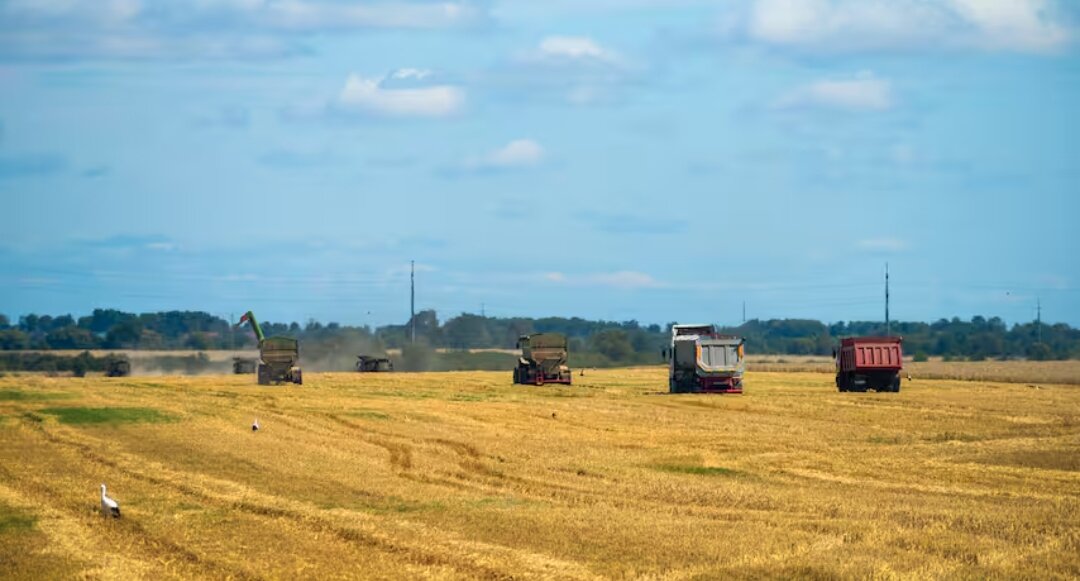 Источник фото: NU