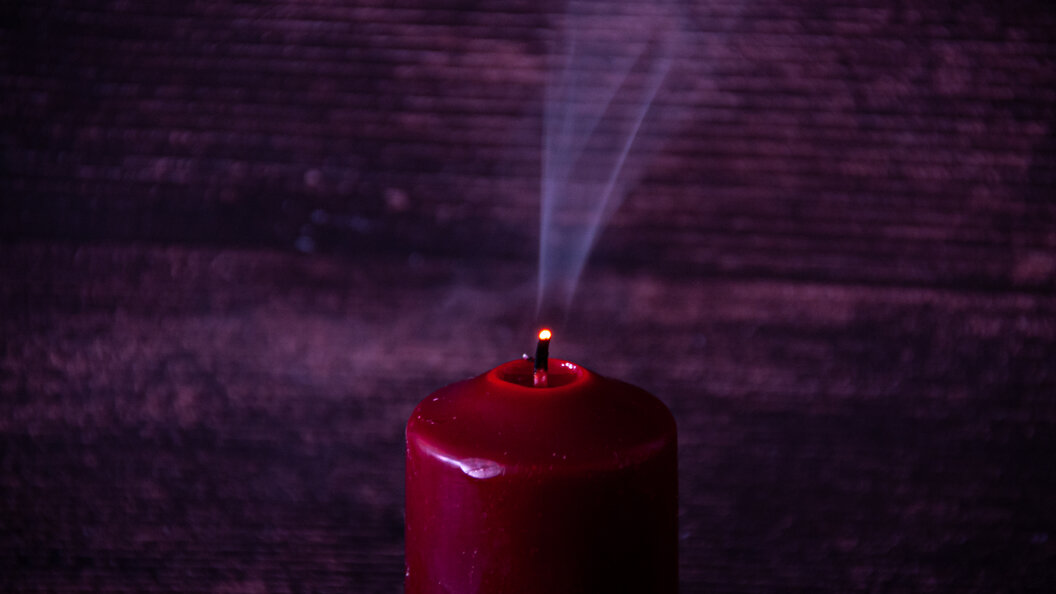    Фото: Svetlana Vozmilova/Globallookpress