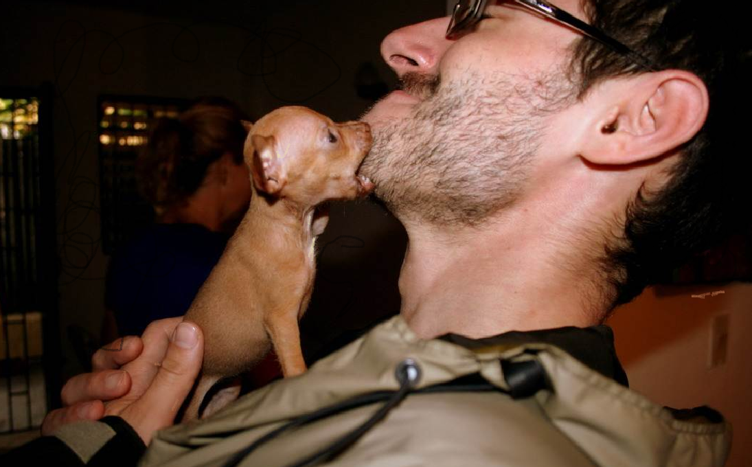 Кто в доме хозяин?