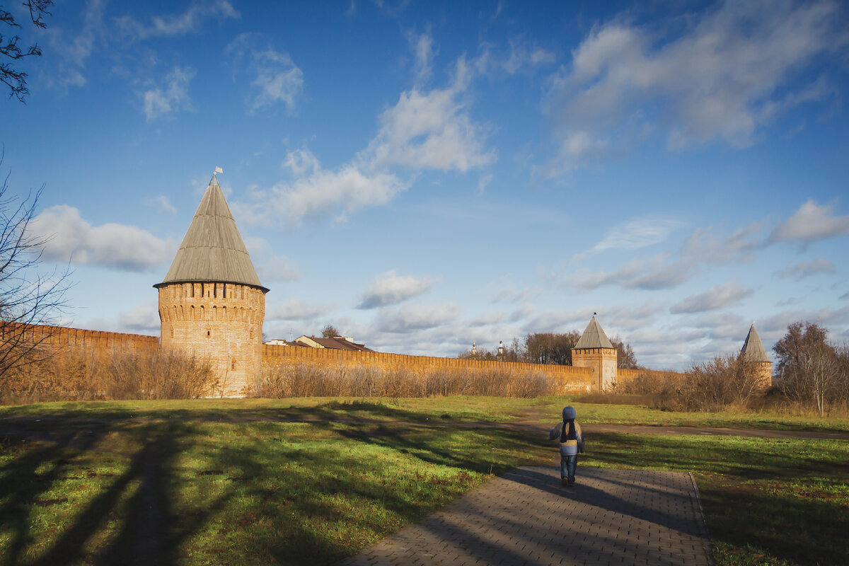 Вид на восточный участок Смоленской крепостной стены. Слева направо: башни Долгочевская, Воронина, Заалтарная