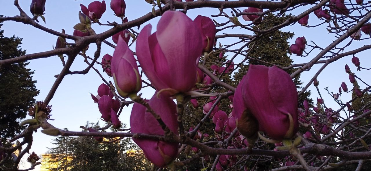 Фото автора.