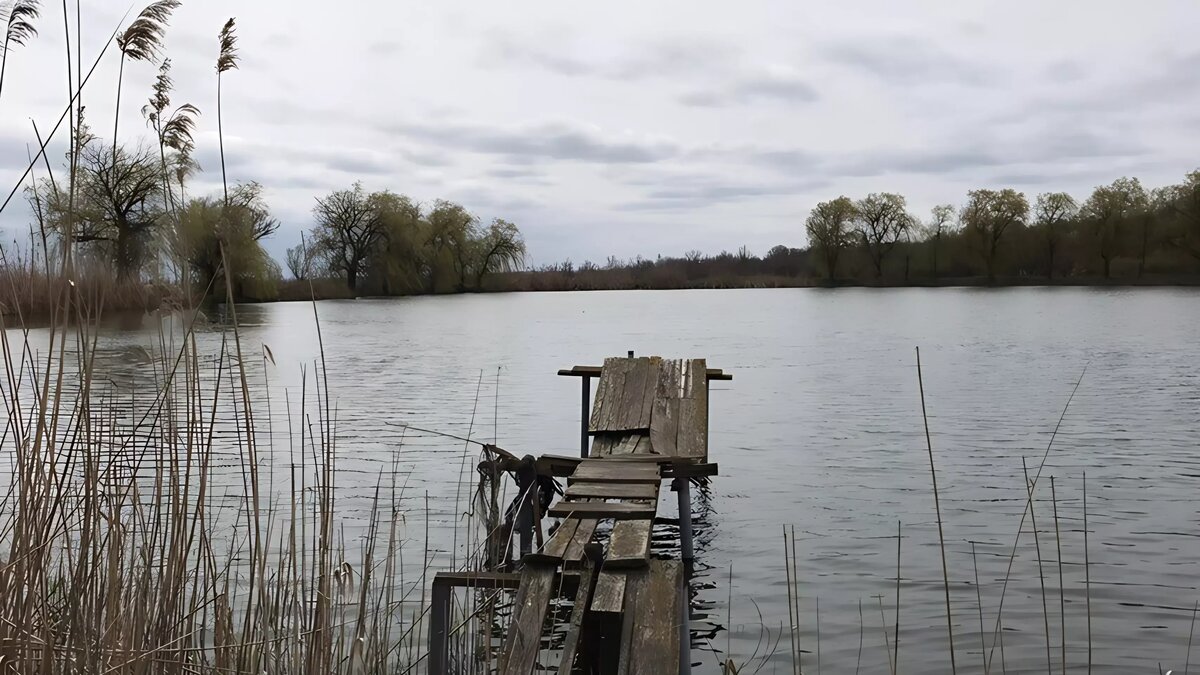     Нижегородская область насчитывает десятки достопримечательностей, среди которых есть множество природных. NewsNN рассказывает о пяти самых красивых и необычных озерах региона.