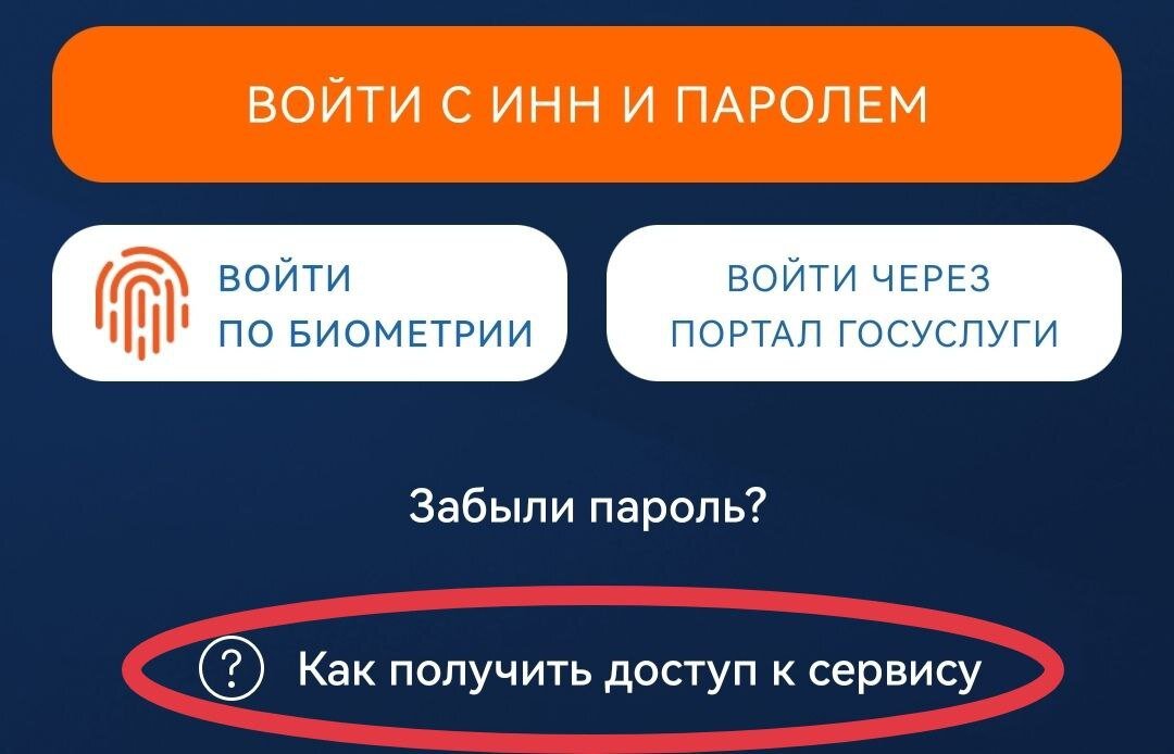 Справка о получении доступа к сервису